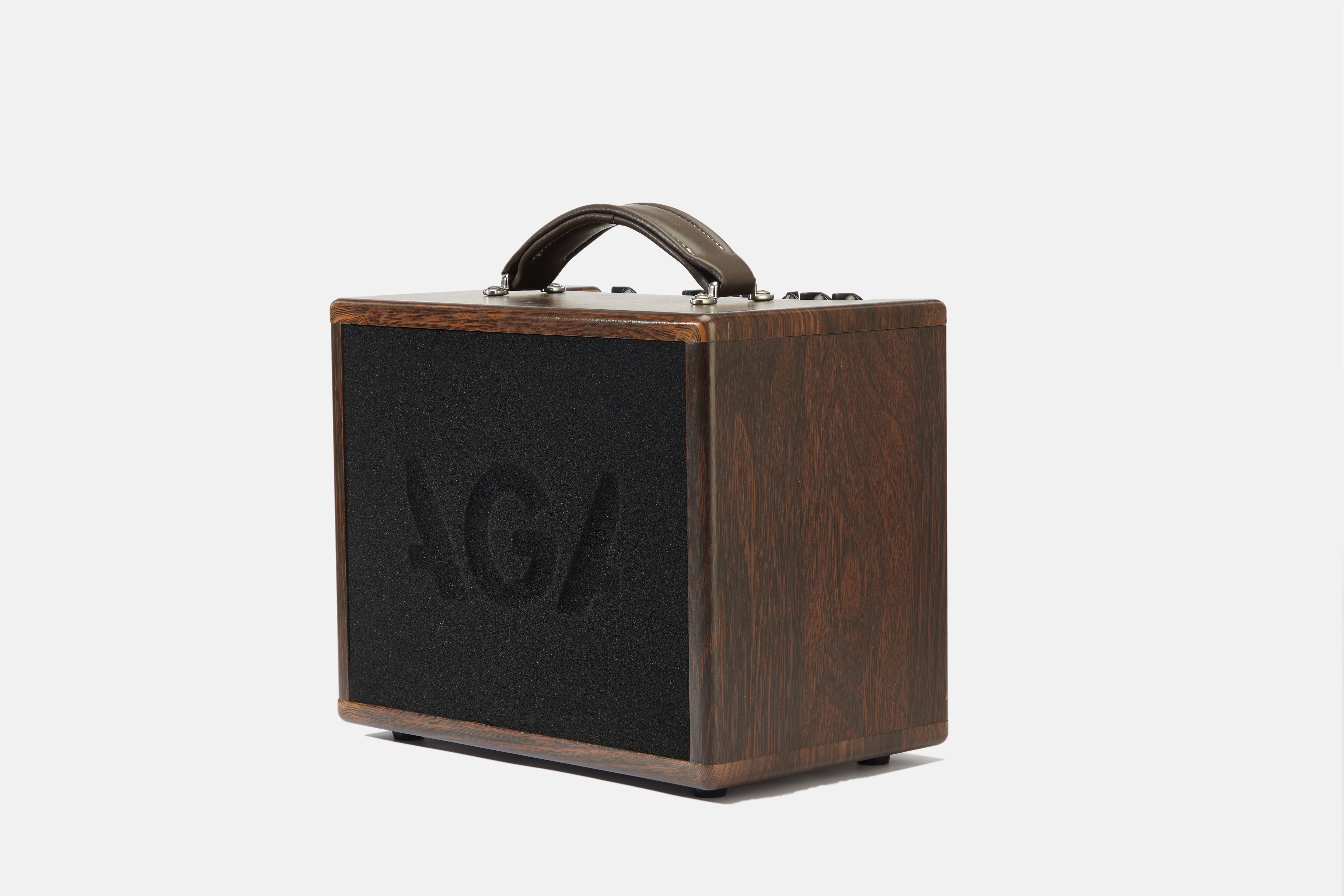 AGA GA Series Acoustic Guitar Amp ā GA-3P & GA-5P Models ā Wooden Shell, Bluetooth 5.0, Reverb/Chorus Effects, Rechargeable Battery, USB Recording, 6.5ā Full-Range Speaker