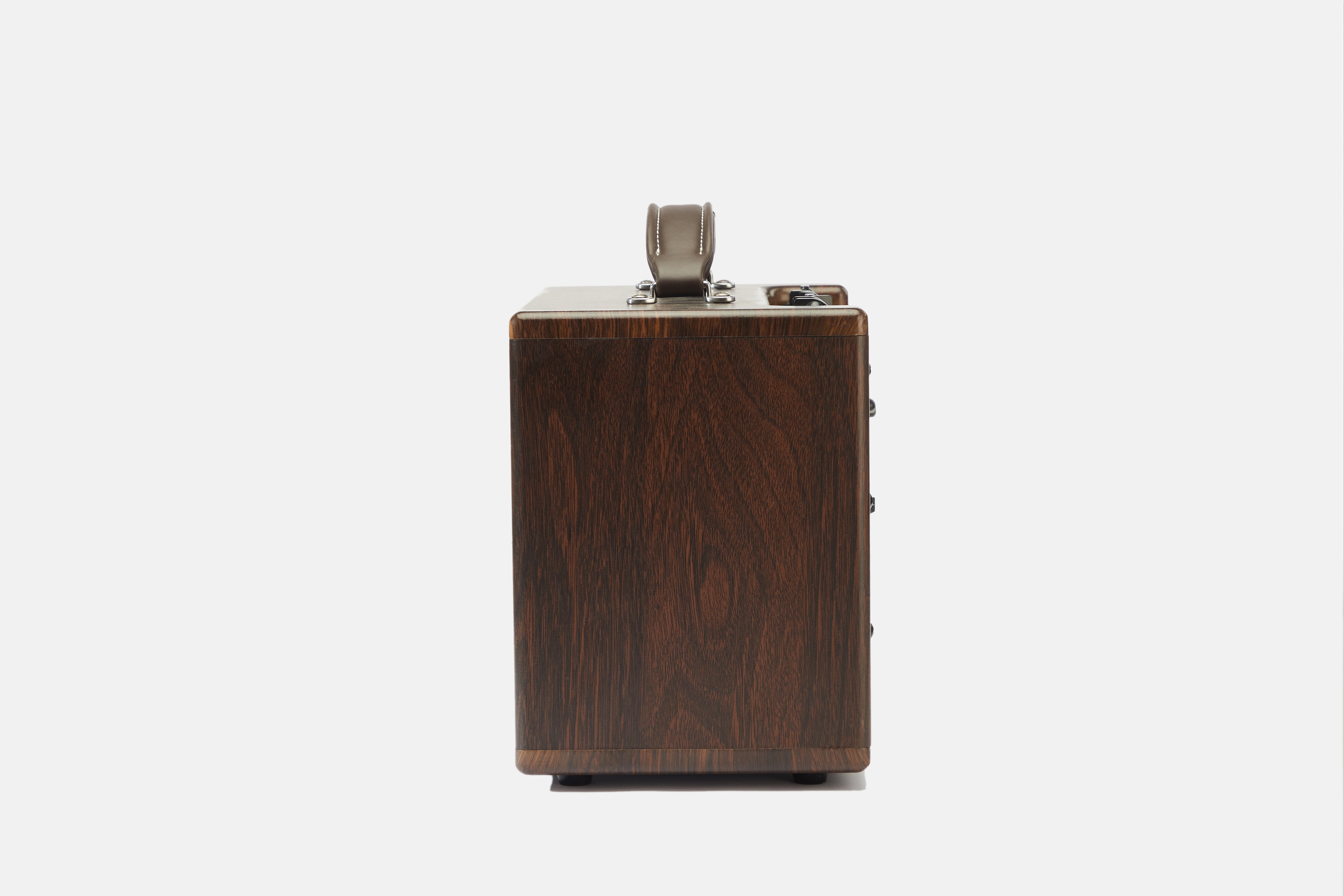 AGA GA Series Acoustic Guitar Amp ā GA-3P & GA-5P Models ā Wooden Shell, Bluetooth 5.0, Reverb/Chorus Effects, Rechargeable Battery, USB Recording, 6.5ā Full-Range Speaker