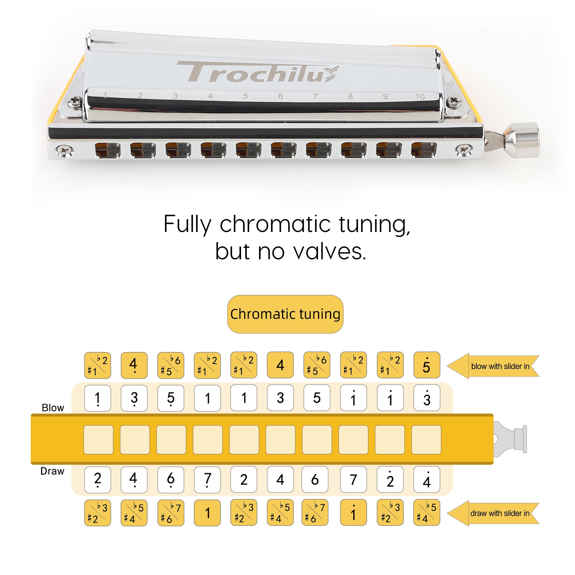 JDR Trochilus Chromatic Harmonica 10 Holes Chromonica Key of C Armonica Valveless Harp Mouth Organ with Case for Adults Professionals Beginners Teachers Students (Chromatic/Solo Tuning Key of C)