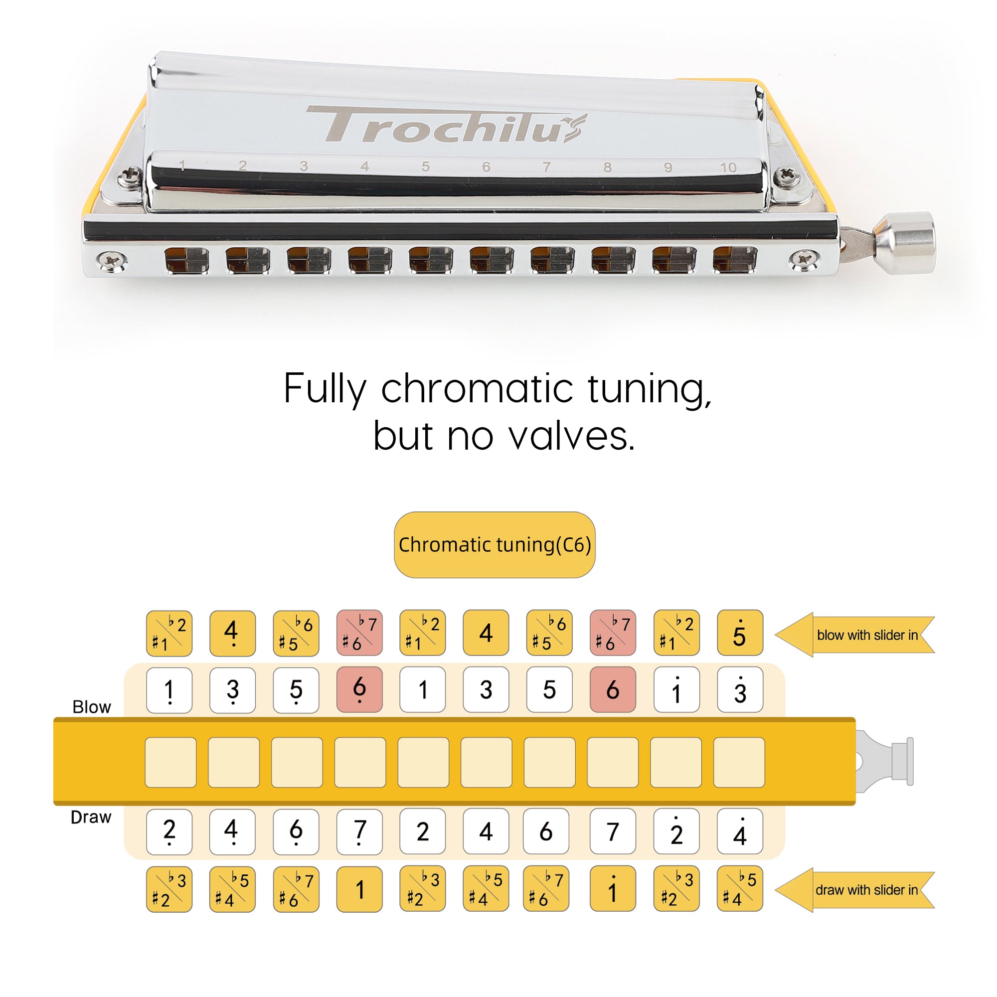 JDR Trochilus Chromatic Harmonica 10 Holes Chromonica Key of C Armonica Valveless Harp Mouth Organ with Case for Adults Professionals Beginners Teachers Students (Chromatic/Solo Tuning Key of C)