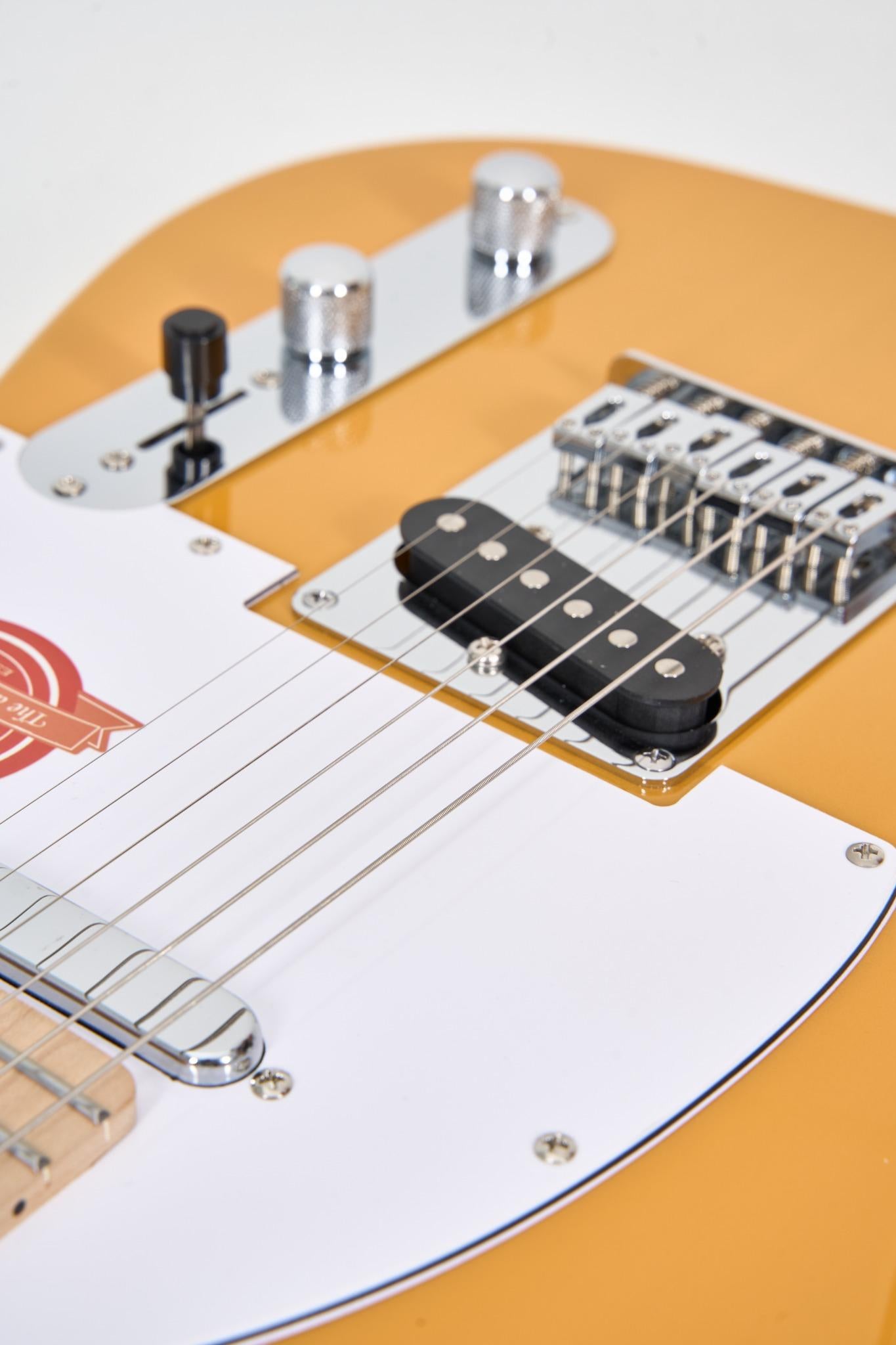 Farida F-2120 TELE Electric Guitar – Classic Telecaster Style with Maple Neck, SOUND-TD1 Pickup, and T1-3 Farida Tuners – 648mm Scale, 22 Frets