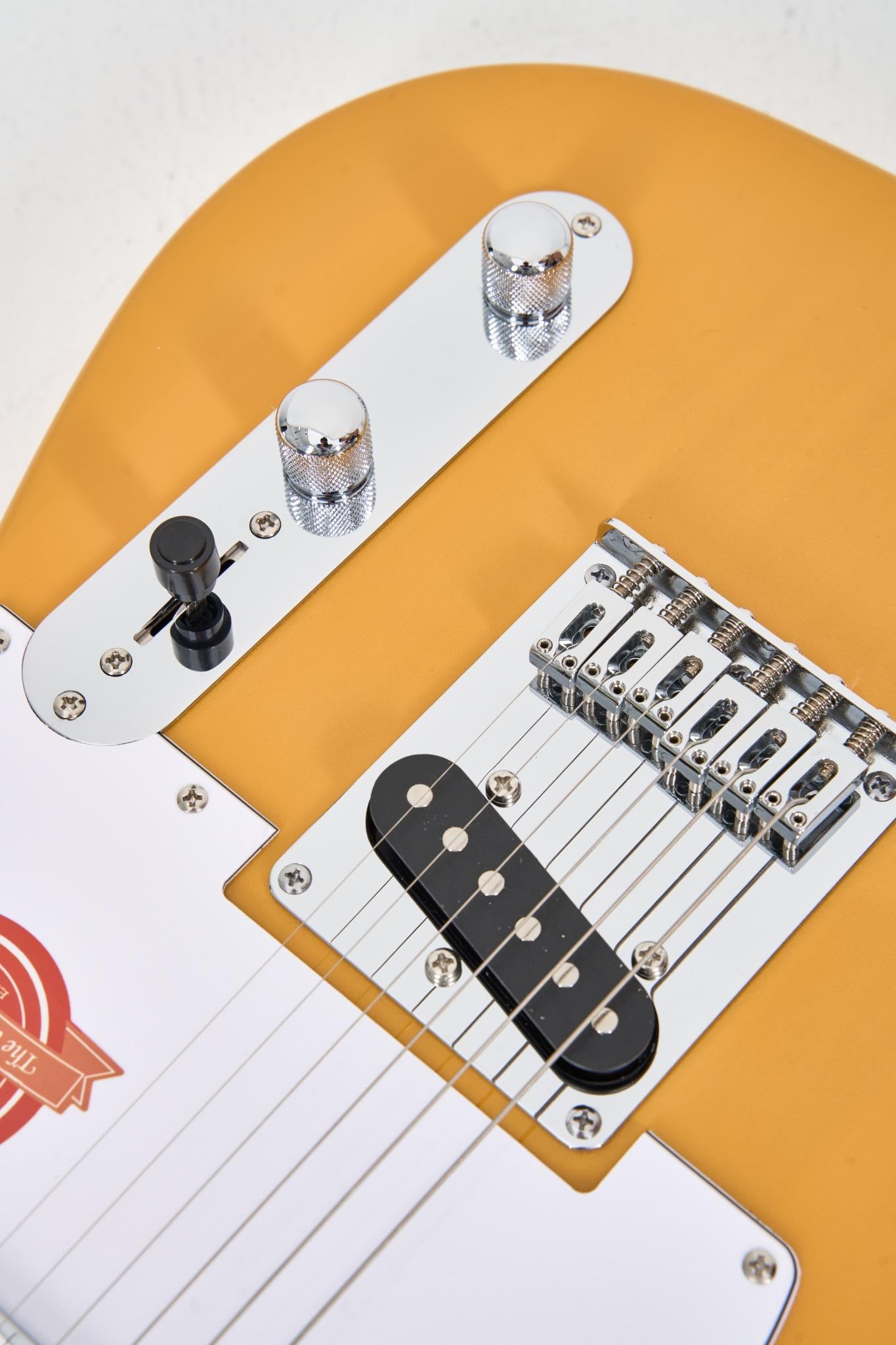 Farida F-2120 TELE Electric Guitar – Classic Telecaster Style with Maple Neck, SOUND-TD1 Pickup, and T1-3 Farida Tuners – 648mm Scale, 22 Frets
