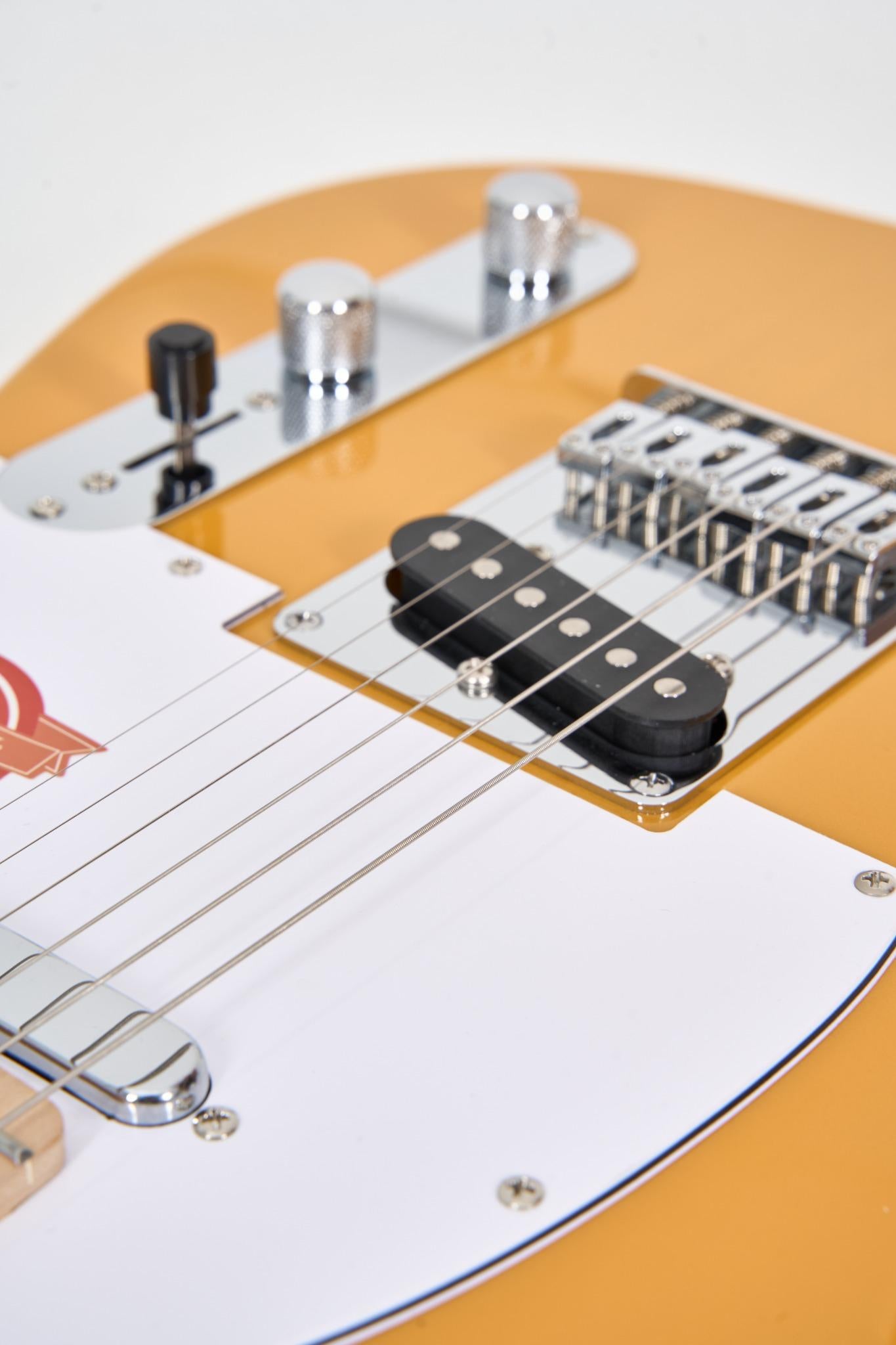 Farida F-2120 TELE Electric Guitar – Classic Telecaster Style with Maple Neck, SOUND-TD1 Pickup, and T1-3 Farida Tuners – 648mm Scale, 22 Frets